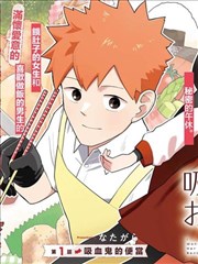 老井台边的月亮 乡土漫画改编作品封面